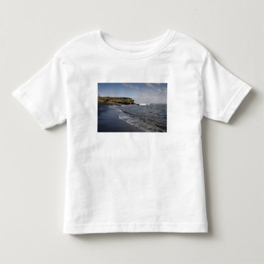 エクアドル、ガラパゴス、サンティアゴ（別名ジェームズ）。2 トドラーTシャツ (正面)