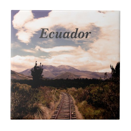 エクアドル タイル (正面)