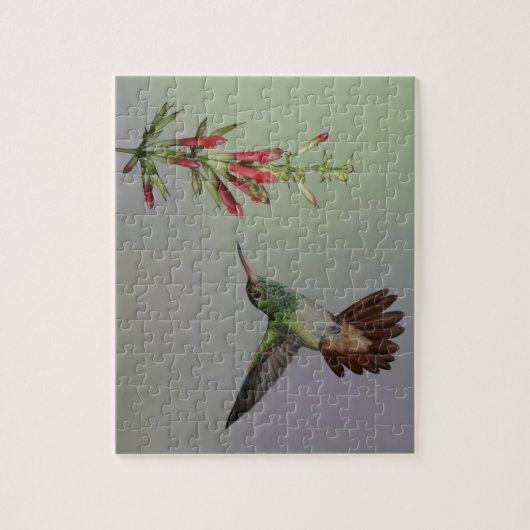 エクアドル、タンダヤパバードロッジ。尾の悪い ジグソーパズル (縦)