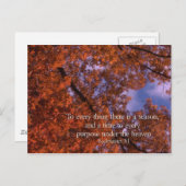 エククレシアテス3:1シーズンのあらゆることに ポストカード (正面/裏面)