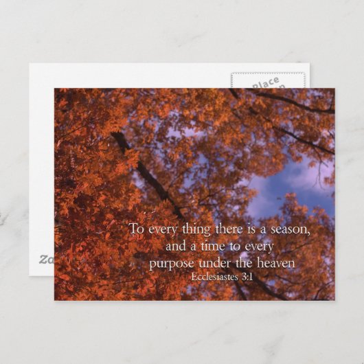 エククレシアテス3:1シーズンのあらゆることに ポストカード (正面/裏面)