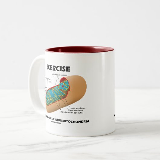 エクササイズはあなたのMitochondriaを造るのに時間をかけます ツートーンマグカップ (正面左)