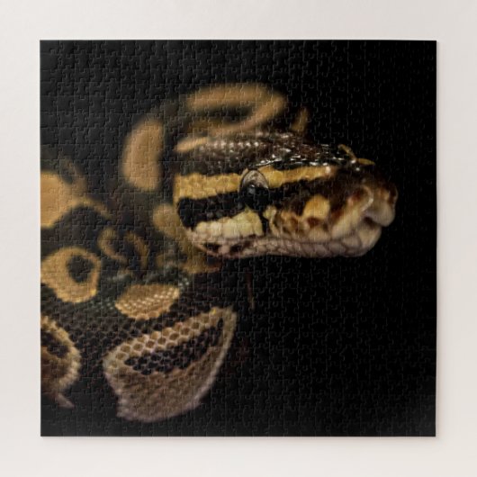 エクストラハードスネークパズル ジグソーパズル (縦)