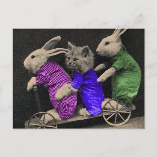 エクストリームスポーツ ポストカード (正面)