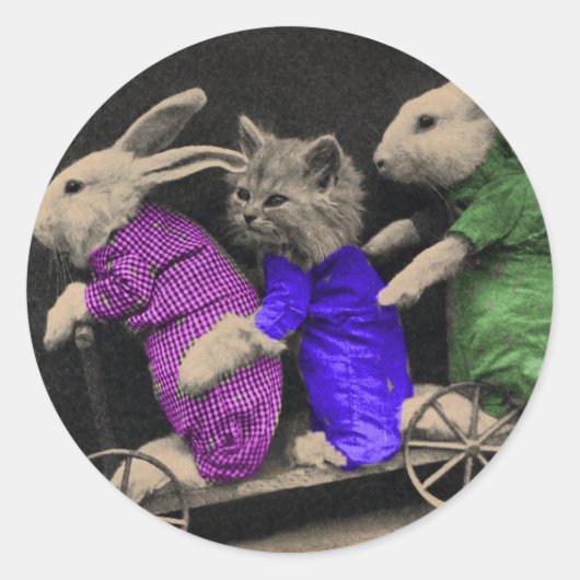 エクストリームスポーツ ラウンドシール (正面)