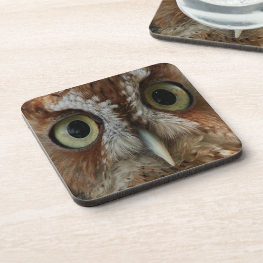 エクストリームフクロウ コースター (左側)