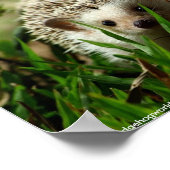 エクスプローラーポスター ポスター (角)