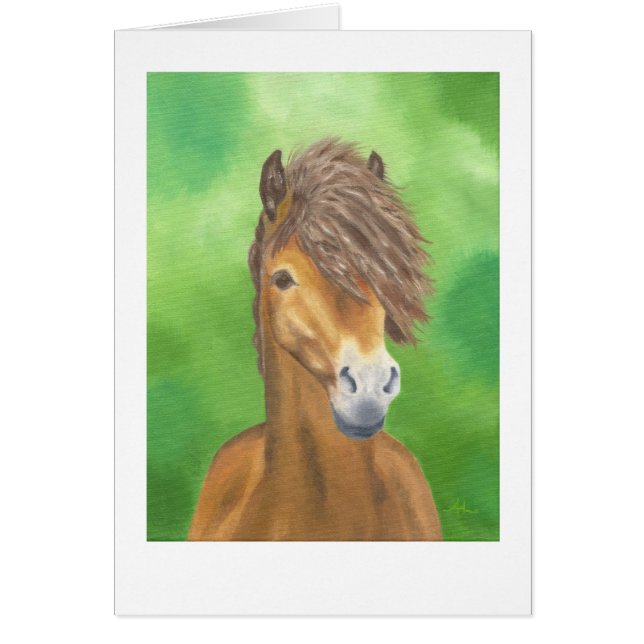 エクスモアポニーカード (正面)