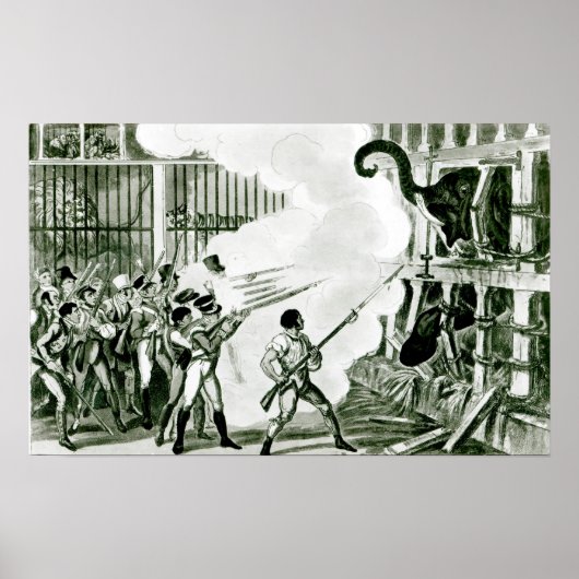 エクセターでの激怒したゾウの破壊 ポスター (正面)