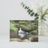 エクセター2009 105 ポストカード (スタンド正面)