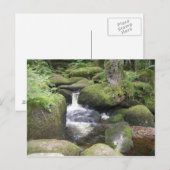 エクセター2009 105 ポストカード (正面/裏面)