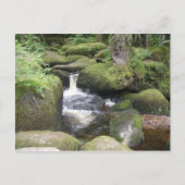 エクセター2009 105 ポストカード (正面)