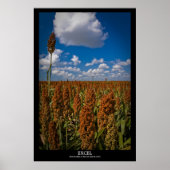 エクセル ポスター (正面)