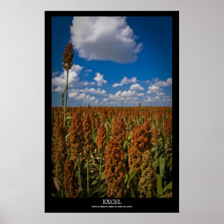 エクセル ポスター