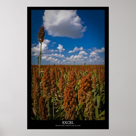 エクセル ポスター (正面)