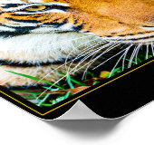 エクセル ポスター (角)