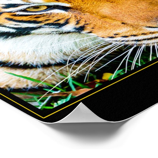 エクセル ポスター (角)