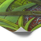 エクターントンシジウムトルムニアオーランズプリント ポスター (角)