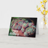 エクヘベリアバラ多汁鉢植え誕生日 カード (黄色い花)
