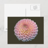 エクラ ポストカード (正面/裏面)