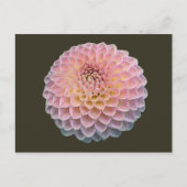 エクラ ポストカード (正面)