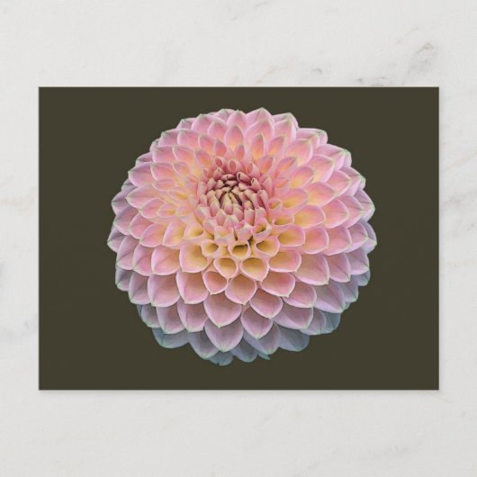 エクラ ポストカード (正面)