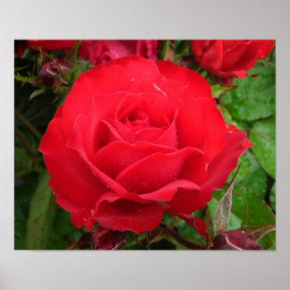 エクリプキングテラッツァバラ ポスター