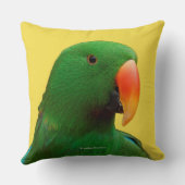 エクレクタスオウム クッション (裏面)