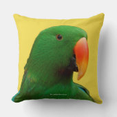 エクレクタスオウム クッション (正面)