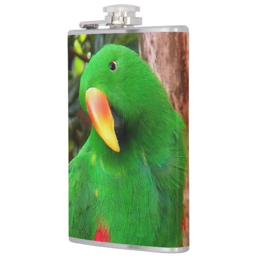 エクレクタスオウム フラスク (左)