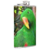 エクレクタスオウム フラスク (右)