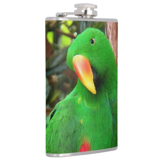 エクレクタスオウム フラスク (右)