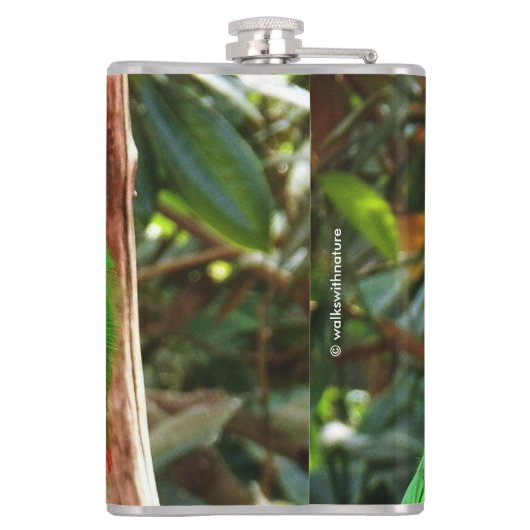 エクレクタスオウム フラスク (裏面)