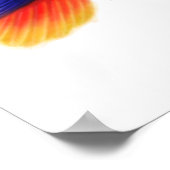 エクレクタスパロッツ&ブロメリアドプリント ポスター (角)