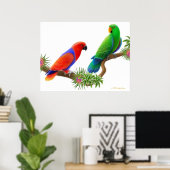 エクレクタスパロッツ&ブロメリアドプリント ポスター (ホームオフィス)