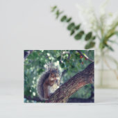 エクロイユ ポストカード (スタンド正面)