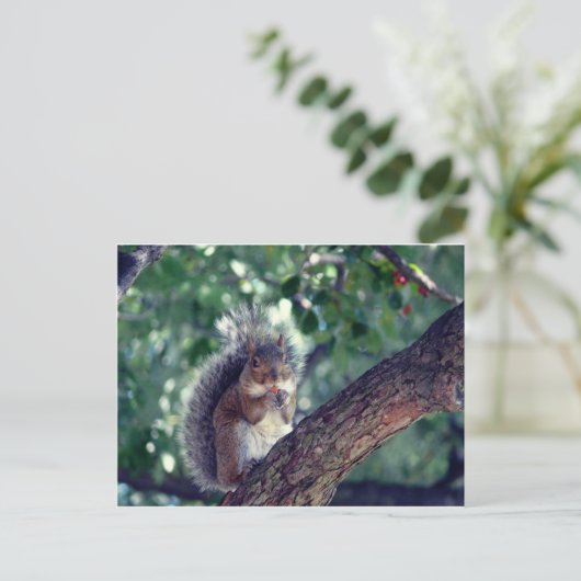 エクロイユ ポストカード (スタンド正面)