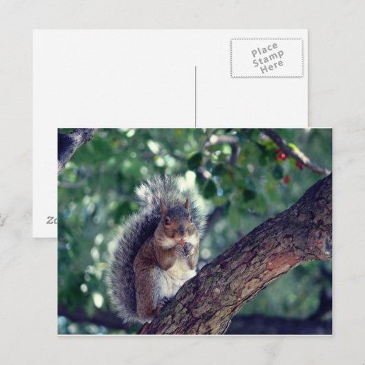 エクロイユ ポストカード (正面/裏面)