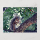 エクロイユ ポストカード (正面)