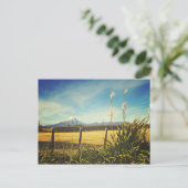 エグモントビレッジハガキ ポストカード (スタンド正面)