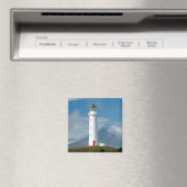 エグモント岬ライトハウス&タラナキ山/Mt マグネット (インサイチュ (食洗機))