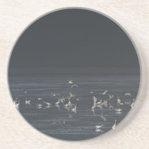 エグレッツオンザミッドナイトブルー海