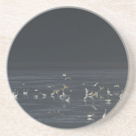 エグレッツオンザミッドナイトブルー海 コースター