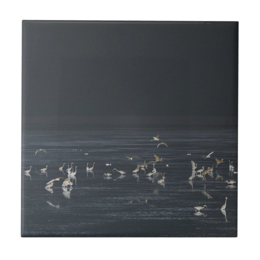 エグレッツオンザミッドナイトブルー海 タイル (正面)