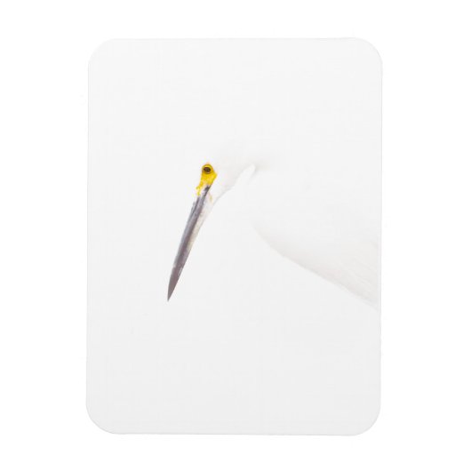 エグレットのヘッドショット マグネット (縦)