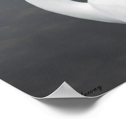 エグレット ポスター (角)