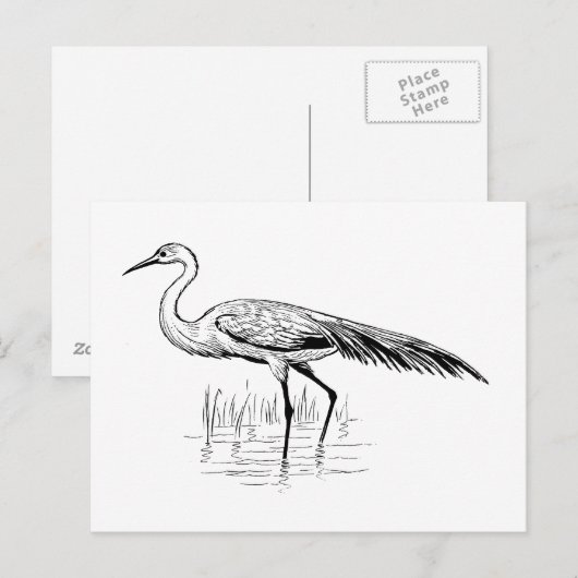 エグレット ポストカード (正面/裏面)