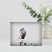 エグレット ポストカード (スタンド正面)