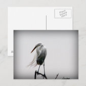 エグレット ポストカード (正面/裏面)