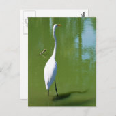 エグレト ポストカード (正面/裏面)